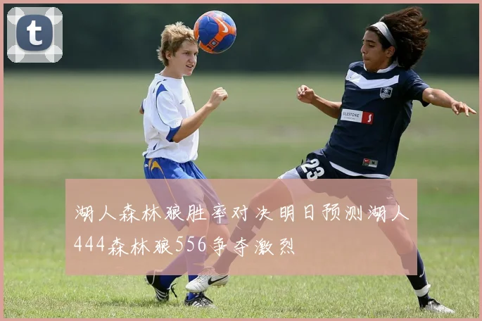 湖人森林狼胜率对决明日预测湖人444森林狼556争夺激烈